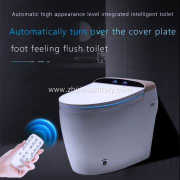 modern Equipped with smart toilet